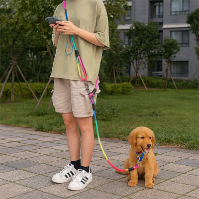 Chiot golden laisse chien main libre