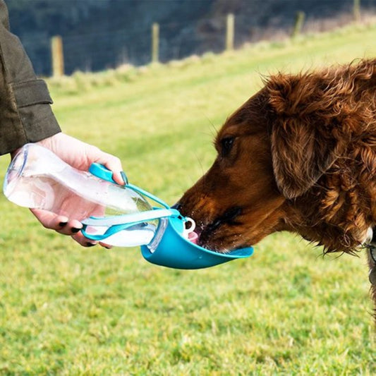 Gourde pour chien portable étanche bleu, réservoir transparent et bec d’abreuvement