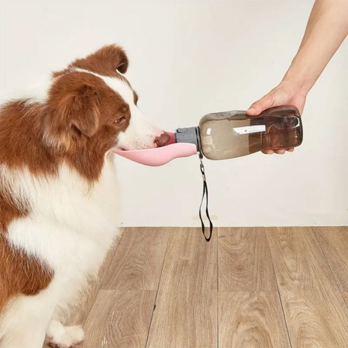 Gourde pour chien​ beige