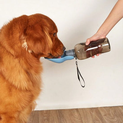 Gourde pour chien​ pratique même à la maison
