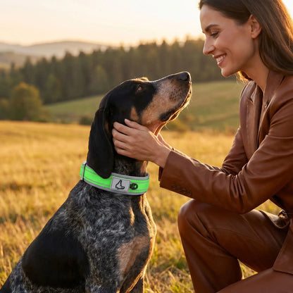 Collier pour chien en néoprène rembourré vert, boucle noire et patte décorative
