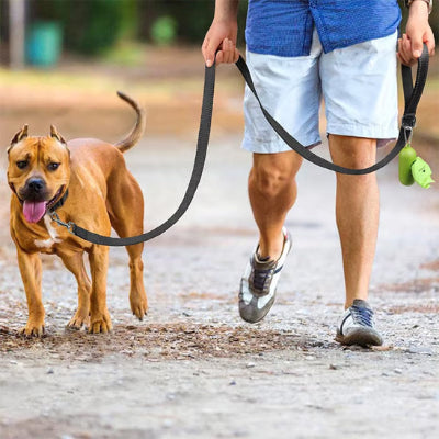Homme avec grand chien marche avec laisse pour chien noir