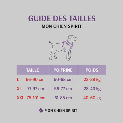 Harnais pour chien grande taille | Habiller facilement