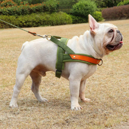 Harnais anti-traction vert pour chien, sangle frontale et attache métallique orange.