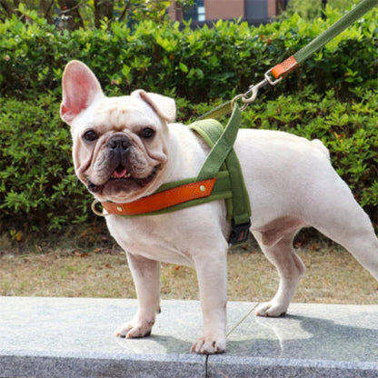 Harnais vert anti-traction pour chien, lanières orange et boucle métallique, sangle arrière.