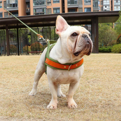 Harnais anti-traction vert pour chien, lanières orange, anneaux métalliques et sangle ventrale.
