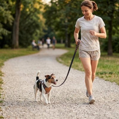 Harnais chien en Y marche au pied avec femme