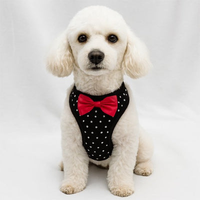 Harnais petit chien assis trop mignon