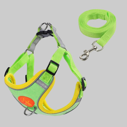 Harnais pour petit chien vert citron avec sangle jaune et boucles métalliques