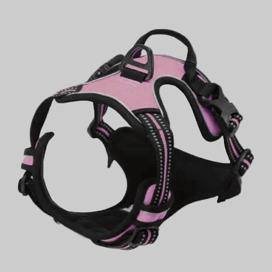 Harnais pour chien confortable violet et noir, sangles rembourrées et boucle