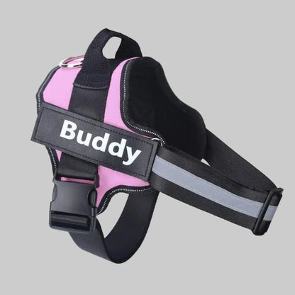 Harnais pour chien grande taille couleur violet