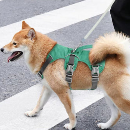 Harnais pour chien vert avec sangles réglables et boucles métalliques