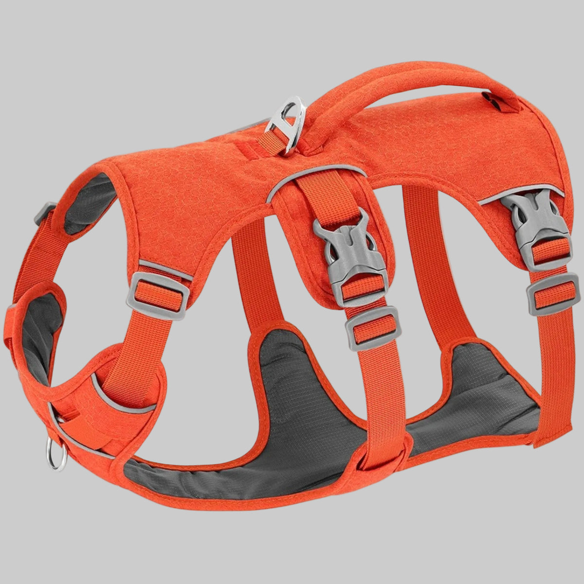Harnais pour chien orange avec sangles réglables et boucles métalliques