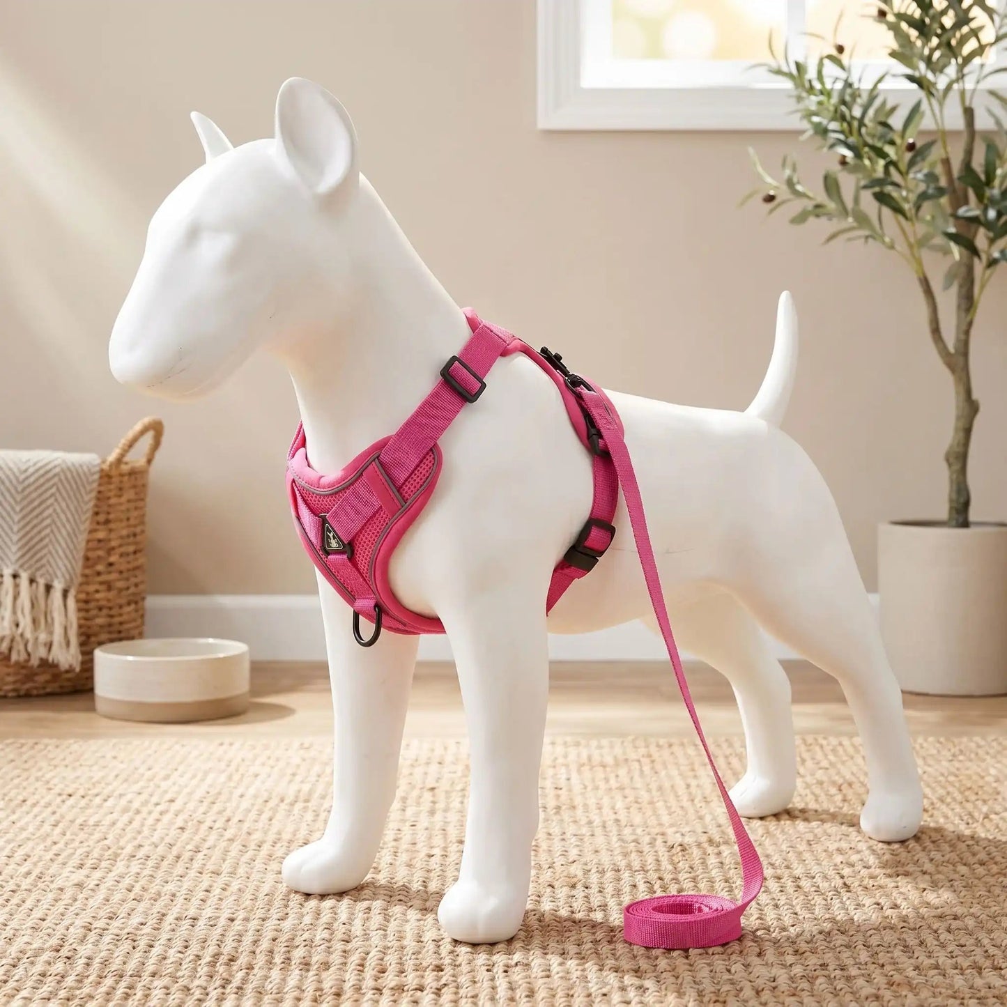 harnais pour chien petite race sur mannequin