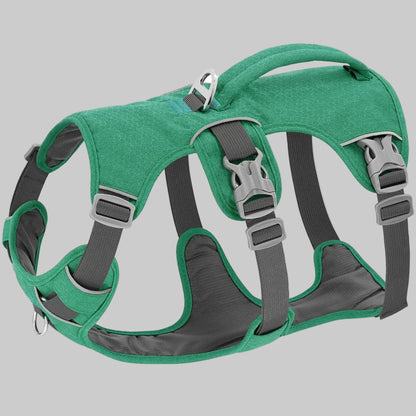 Harnais pour chien vert avec sangles réglables et boucles métalliques