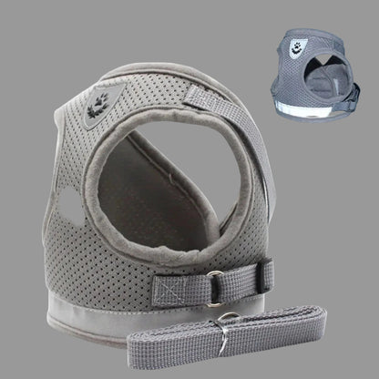 Harnais pour chiens couleur gris magnifique bande velcro