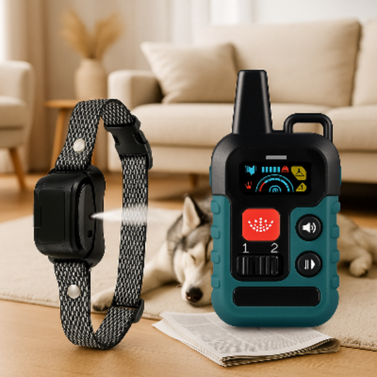 Collier anti-aboiement pour chien avec sangle tissée noire et télécommande turquoise