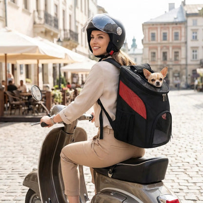 Sac à dos pour chien de moto noir avec panneau rouge et fenêtre en maille