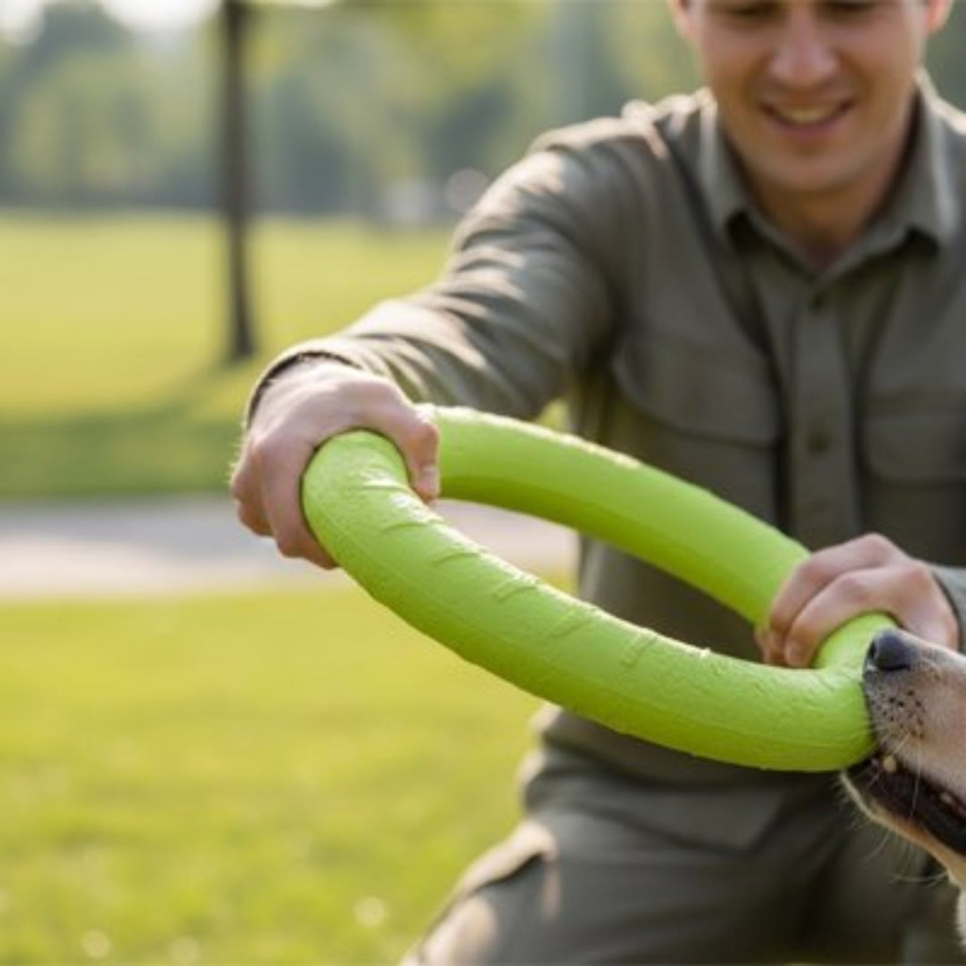 Jouet pour chien anneau vert, chien en train de mordre