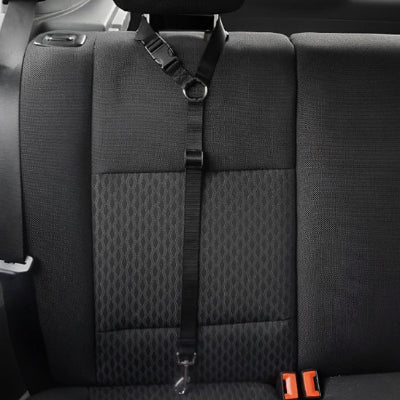 laisse chien auto Antre noir