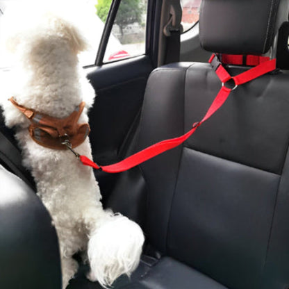 Laisse pour chien auto Antre: harnais rouge, sangle et attache