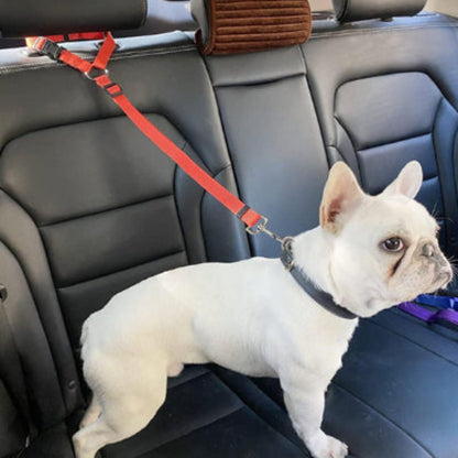 Laisse pour chien auto Antre: harnais rouge sur banquette, sangle
