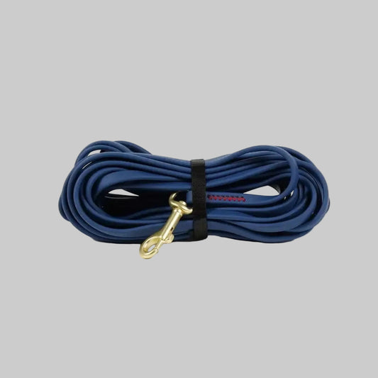 Laisse chien couleur bleu