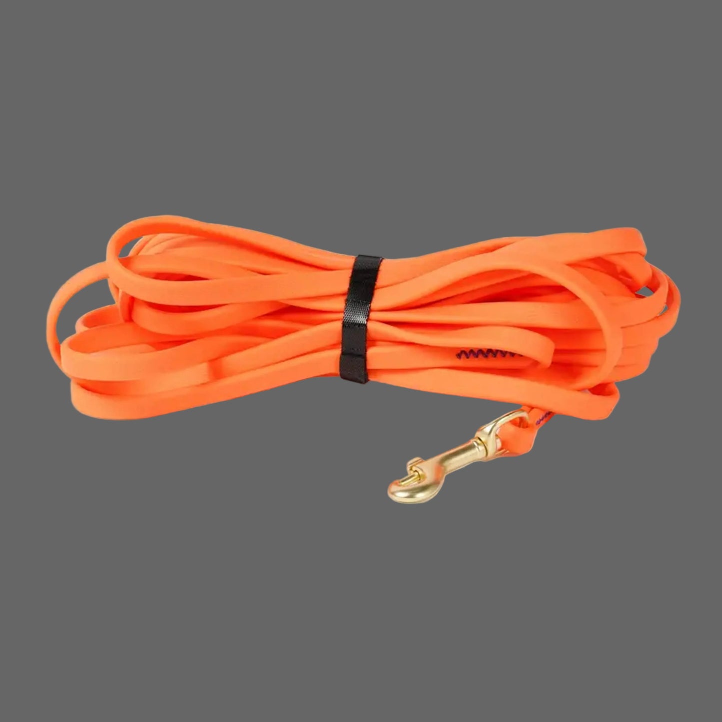 Laisse chien couleur orange