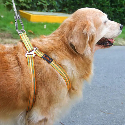 Laisse pour chien tressée orange et jaune, mousqueton métallique