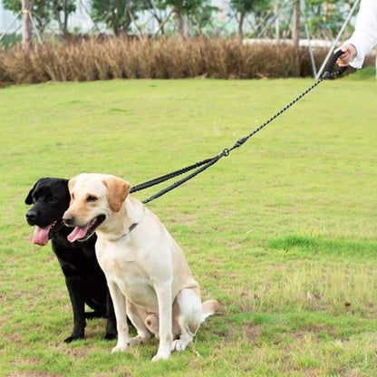 laisse double pour chien, cordons tressés noir et vert, poignée rembourrée