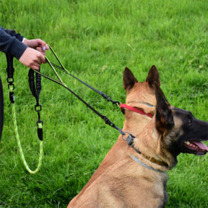 Laisse double pour chien avec deux laisses et mousquetons, attache au collier