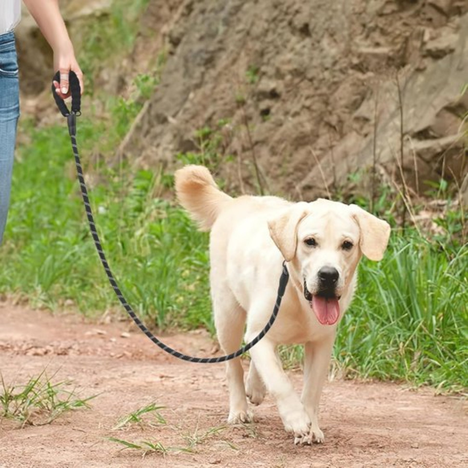 laisse double pour chien noire, deux cordons tressés et mousqueton métal
