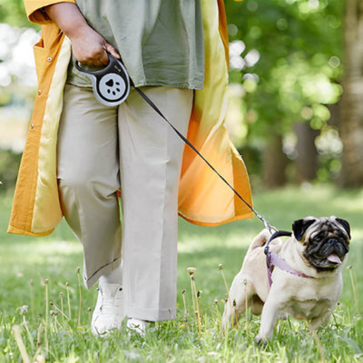 Laisse pour chien Aba poignée noire et boîtier gris à motif patte