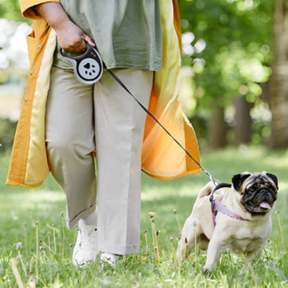 Laisse pour chien Aba poignée noire et boîtier gris à motif patte
