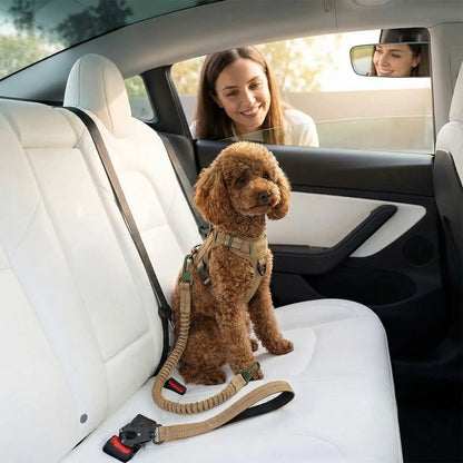 Laisse pour chien abacule à corde tressée beige, avec harnais et mousqueton