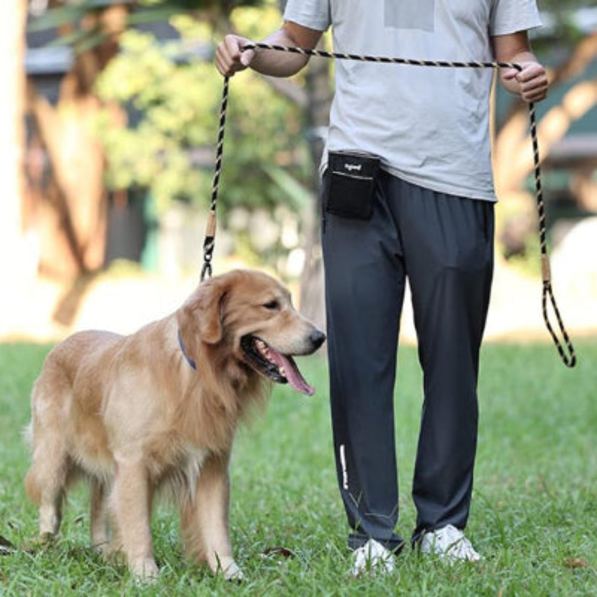 Laisse pour chien aby, corde noire tressée avec double boucle et mousqueton