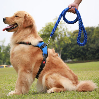 Laisse pour chien Ahuri en corde bleue, poignée bouclée et mousqueton argenté.