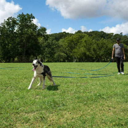 Laisse pour chien abda bleue, corde tendue pendant la promenade