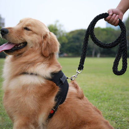 Laisse pour chien Ahuri en corde noire avec mousqueton métallique et poignée bouclée.
