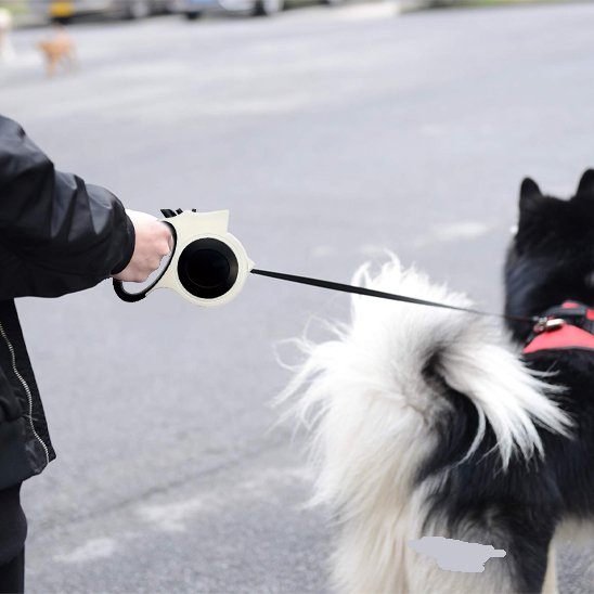 Laisse pour chien rétractable noire, poignée tenue près d’un chien