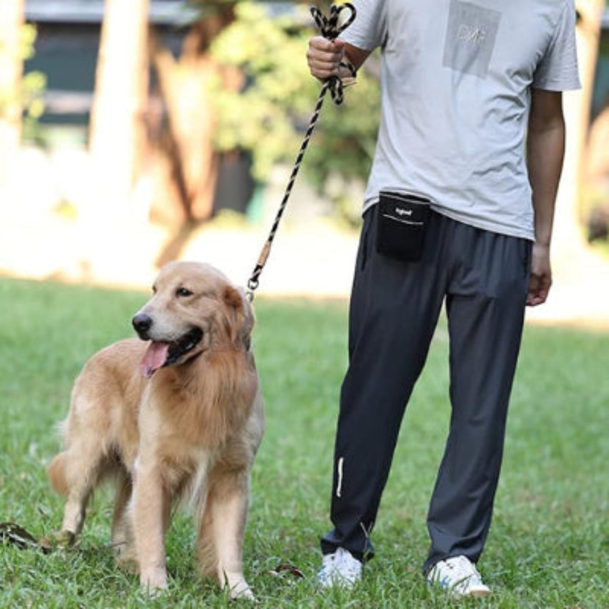 Laisse pour chien aby, corde noire tressée tenue par la main près de la taille