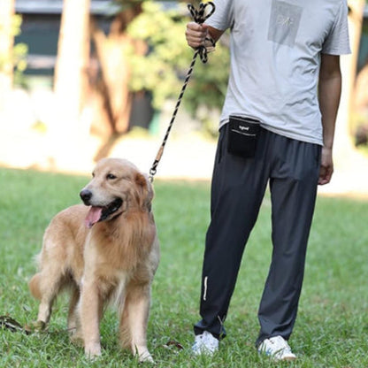 Laisse pour chien aby, corde noire tressée tenue par la main près de la taille
