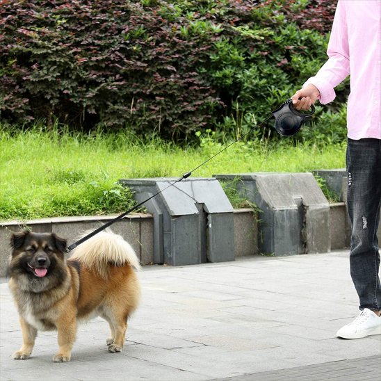 Laisse pour chien rétractable noire, chien marche près d’un passant
