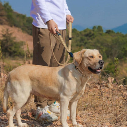 Laisse pour chien abacule beige, laisse tressée avec poignée et mousqueton bleu