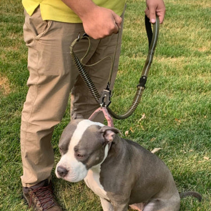 Laisse pour chien abacule avec cordon tressé gris et poignée noire, mousqueton