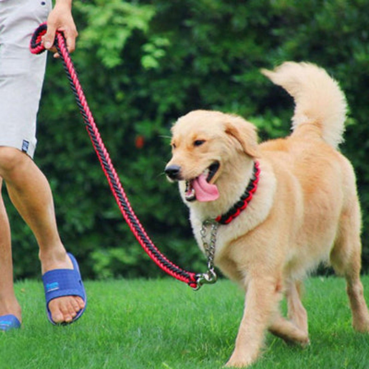Laisse pour chien Ahuri en corde rouge, mousqueton métallique et prise en main.
