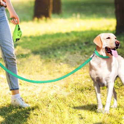 Laisse pour chien en abaca verte, boucle de fixation et prise en main.
