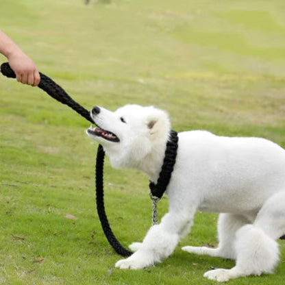 Laisse pour chien Ahuri en corde noire avec mousqueton métallique et boucle à la main.