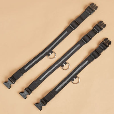 Sur la table, on voit le collier chien en entier super