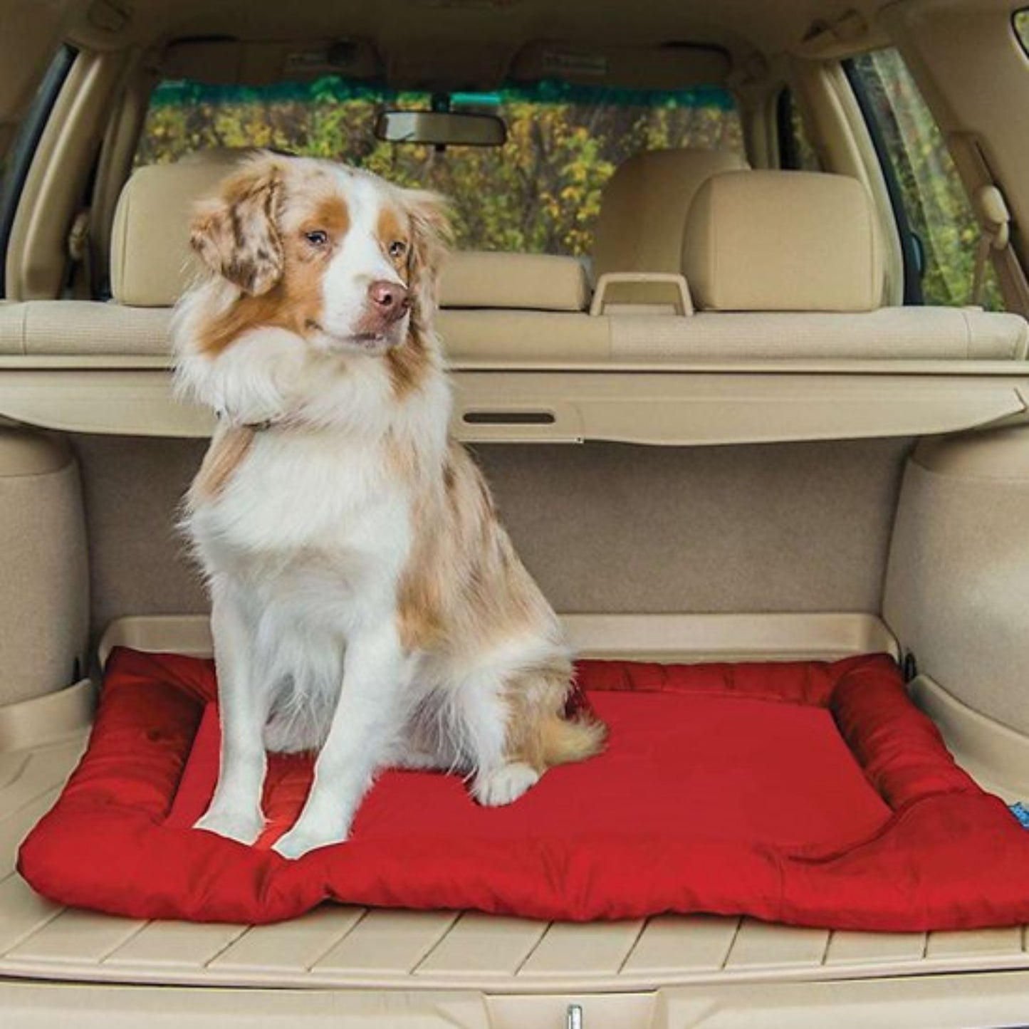 Lit de camp pour chien dans la voiture